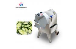 China Steric Circle Knife Set Vegetable Processing Machine Potato Cutting Input Funnel supplier