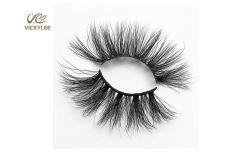 China Synthetic Fibers Stunning Effects 25mm 6D Volume Lashes supplier