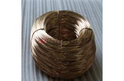 China C17200 Tf00 Th02 Beryllium Bronze Spring Wire Tempered supplier