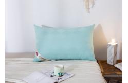 China Non Odor Rectangular Anti Static Down Dreams Pillows supplier