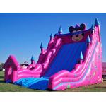 Inflatable Amusement Park With Big Inflatable Slide For Adult / Kids for sale