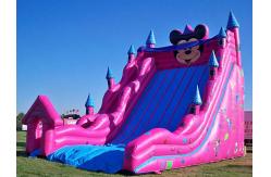 China Inflatable Amusement Park With Big Inflatable Slide For Adult / Kids supplier