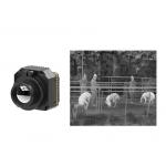 Uncooled Thermal Infrared Surveillance Camera Module LWIR 640x512 17μM for sale