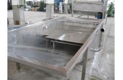 China Full Automatic Fruit Processing Equipment Surfing Bubble Washing Machine supplier