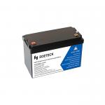 ODM 12V LiFePO4 Battery Lithium Iron Phosphate Batteries Replacement