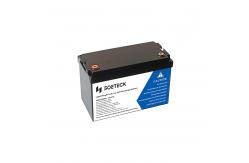 China ODM 12V LiFePO4 Battery Lithium Iron Phosphate Batteries Replacement supplier