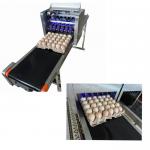 Flexible Digital Eggs Industrial Inkjet Barcode Printers With Various Color Ink for sale