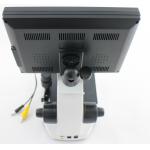CE Approved OEM LCD Screen Color Microcirculation Microscope for Nail Checking for sale