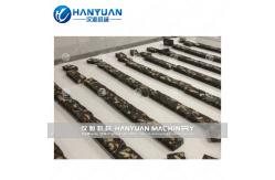 China Dates Bar Production Line supplier