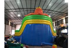 China Octopus Large 0.55mm Inflatable Bounce House Water Slide supplier
