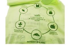 China ABAP 10060 15 Micron Biodegradable and Compostable Bags Vest Carrier Bags supplier