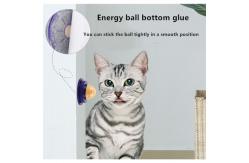 China Cat Candy Lick Cat Catnip Lollipop 2kg Vigorously Pill Cat Nutrition supplier