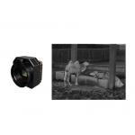 High Sensitivity Thermal Security Camera Uncooled Infrared Module for sale