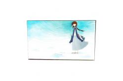 China High Frequency M238DTN01.2 23.8 inch LCD Display Screen supplier