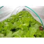 50X35 Plastic Wire Mesh 100g/M2  Anti Insect Net For Greenhouse for sale