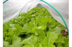 China 50X35 Plastic Wire Mesh 100g/M2  Anti Insect Net For Greenhouse supplier