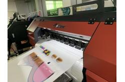 China Pigment ink Dtf Pet Film Printer with 2Pcs DX6/4720/i3200 print head supplier