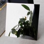 Mirror Finish Decorative Stainless Steel Sheet 1219*2438mm for sale