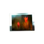 5.7 inch Lcd Panel Display Module Resolution 640*480 AA057VF14 for sale