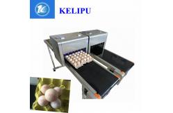 China Easy To Operate Egg Batch Number Printer With Computer Software Control supplier