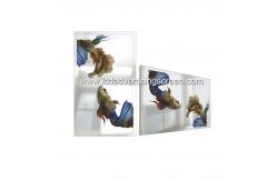 China 43In Smart Mirror 500cd/M2 Wall Mounted Advertising Display Alu Edge supplier