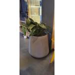 Enhance Your Garden With Elegant Fiber Clay Planters Round Shape