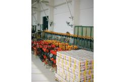 China Heavy Duty Lifting Chain Block Zinc Plated With Overload Protection Devic supplier