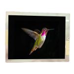 NL6448BC20-30F 6.5 inch 640*480  LCD Display Module for Industrial and Outdoor High Brightness for sale