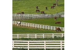 China 3 Rails 4 Rails White Vinyl Farm Fence For Livestock supplier