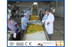 China Pineapple Mango Processing Line , Fruit Juice Mango Pulp Processing Plant supplier