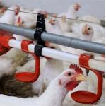 38.8mm Water Nipple Drinker Chicken Feeder Poultry House Water Systems for sale