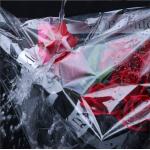 Fresh Flower Bouquet Dust-proof Bag Transparent Windproof and Waterproof Packaging Cover 60*70cm Shipping Time 30-45Days for sale