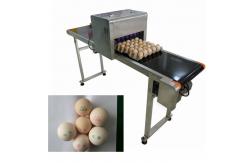 China High Speed Industrial Egg Jet Printer Machine , Batch Printing Machine supplier