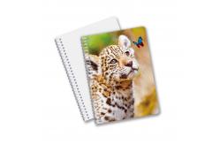 China 3d Lenticular Notebook Custom Print Personalized A5 Notepad 3D Personalize Lenticular Notebook supplier