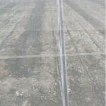 White And Green Garden Netting 40mesh 50mesh For Plant Protection
