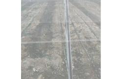 China White And Green Garden Netting 40mesh 50mesh For Plant Protection supplier