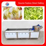 Commercial Fruit And Vegetable Washing Machine High Pressure Water Flow for sale