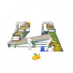 Automatic 380V Mango Processing Line Industrial Juice Making Machine for sale