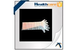 China Dustproof Disposable Hand Cloves , Full Arm Disposable Food Service Gloves  supplier