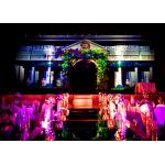 High Brightness Holographic Projection Screen , 3D Holographic Display Size Customised for sale