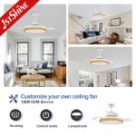 Elegant 42 Inch Chandelier Hidden Blade Ceiling Fan with 2- and Dimmer Compatibility