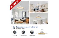 China Elegant 42 Inch Chandelier Hidden Blade Ceiling Fan with 2- and Dimmer Compatibility supplier