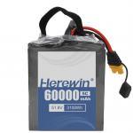 Herewin Semi-Solid State Battery 14S2P 51.8V 60000mAh for Long-Lasting and High-Capacity for sale