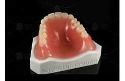China High Esthetics Removable Full Acrylic Denture Acrylic Complete Denture supplier