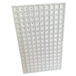 EPS foam seedling tray customized for vegetable, fruit, flower and tobacco seedlings.