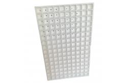 China EPS foam seedling tray customized for vegetable, fruit, flower and tobacco seedlings. supplier