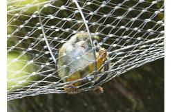 China Ferruled Rope Zoo Wire Mesh , Stainless Steel Flexible Wire Mesh Netting supplier