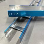 Electrical Wiring Metal Wall Mounted Cable Tray 100mm High Durability Galvanized Finish for sale