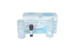 China DCFH-DA Staining Sperm Specimen Male Fertility Test Kit Hydrogen Peroxide Detection supplier