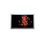 AA121SL07 12.1 inch 800*600 LCD Screen Display for sale